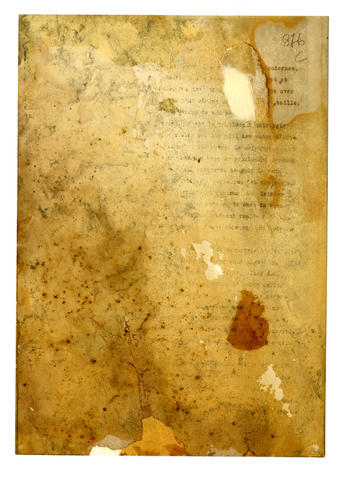 Open original Oggetto digitale