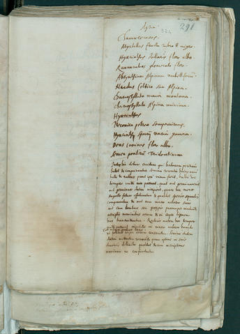 Open original Oggetto digitale