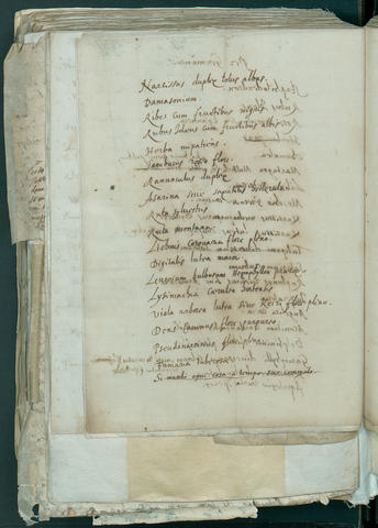 Open original Digital object