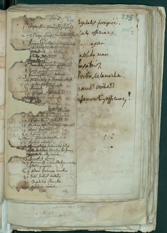 Open original Digital object