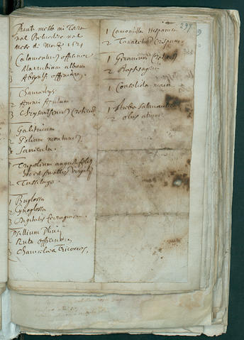 Open original Oggetto digitale