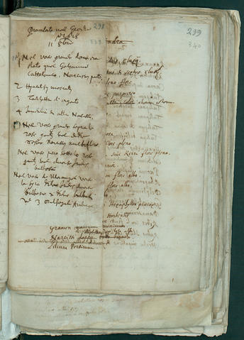 Open original Oggetto digitale