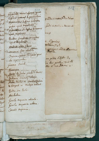 Open original Oggetto digitale