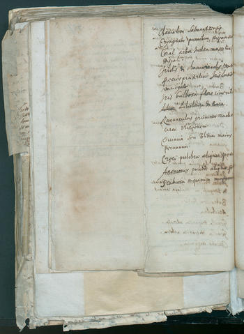 Open original Oggetto digitale