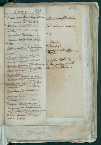 Open original Oggetto digitale