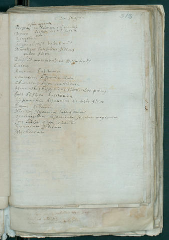 Open original Oggetto digitale