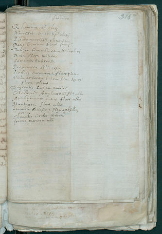 Open original Oggetto digitale