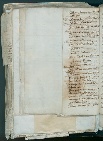 Open original Oggetto digitale