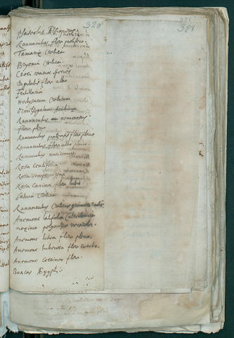 Open original Oggetto digitale