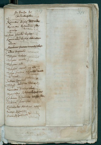 Open original Oggetto digitale