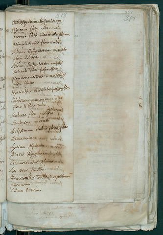 Open original Oggetto digitale