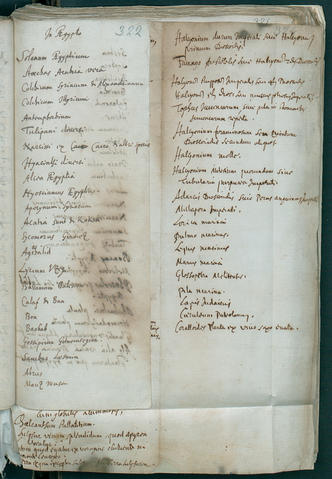 Open original Oggetto digitale