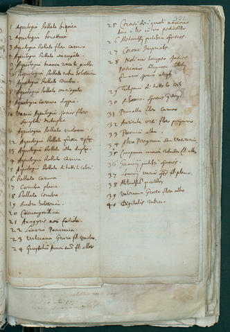 Open original Oggetto digitale