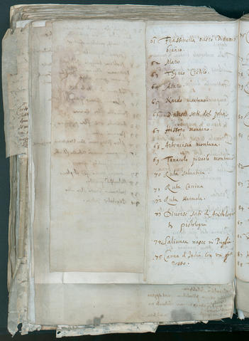 Open original Oggetto digitale