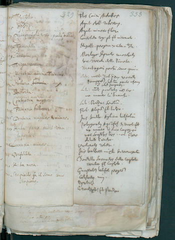 Open original Oggetto digitale