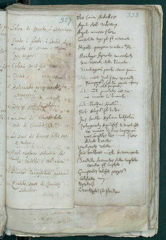 Open original Oggetto digitale