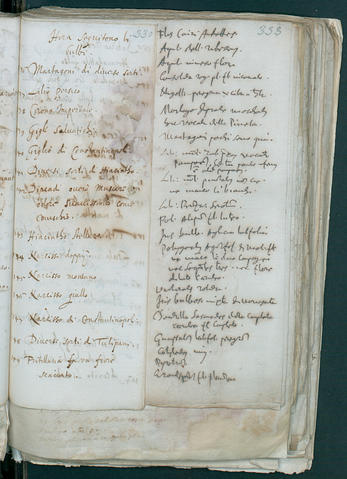 Open original Oggetto digitale