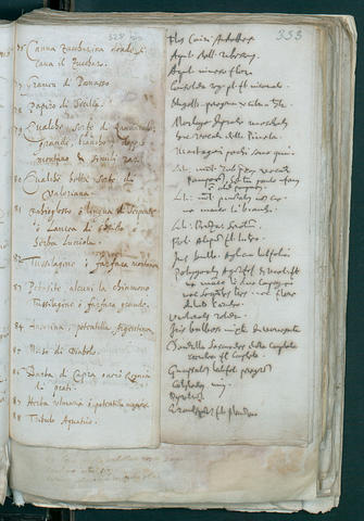 Open original Oggetto digitale