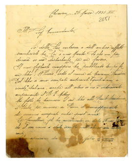 image 01