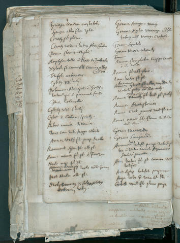 Open original Oggetto digitale