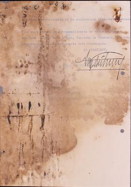 image 01