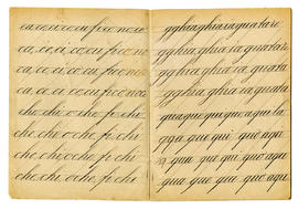 image 03