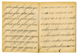 image 05