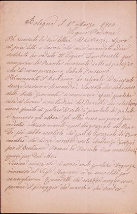 image 01