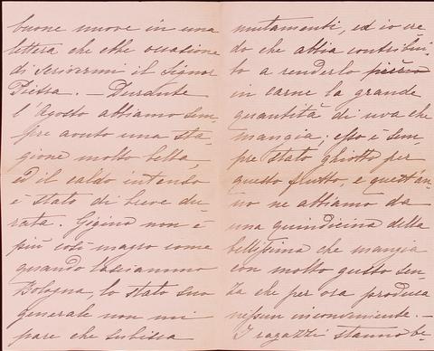 Open original Oggetto digitale