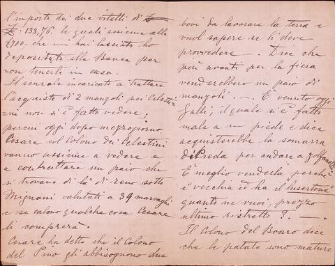 Open original Oggetto digitale