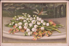 image 01