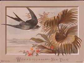 image 02