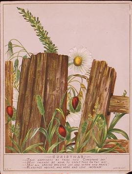 image 01